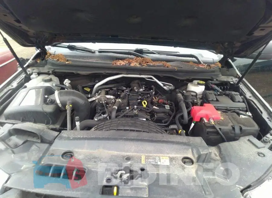 1FTER4FH1MLD30153 Photo# 10