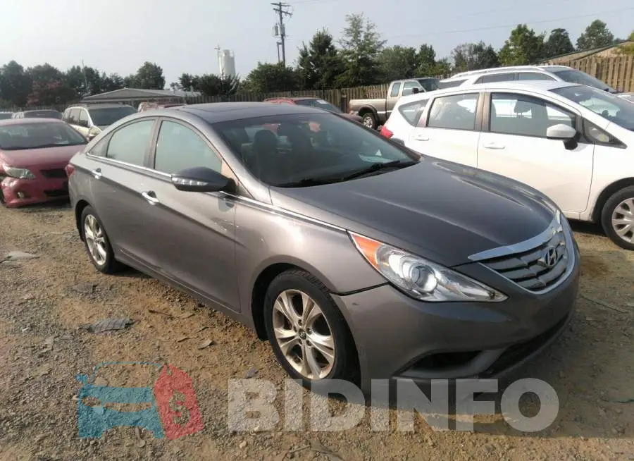 5NPEC4AC2DH559037 Photo# 1