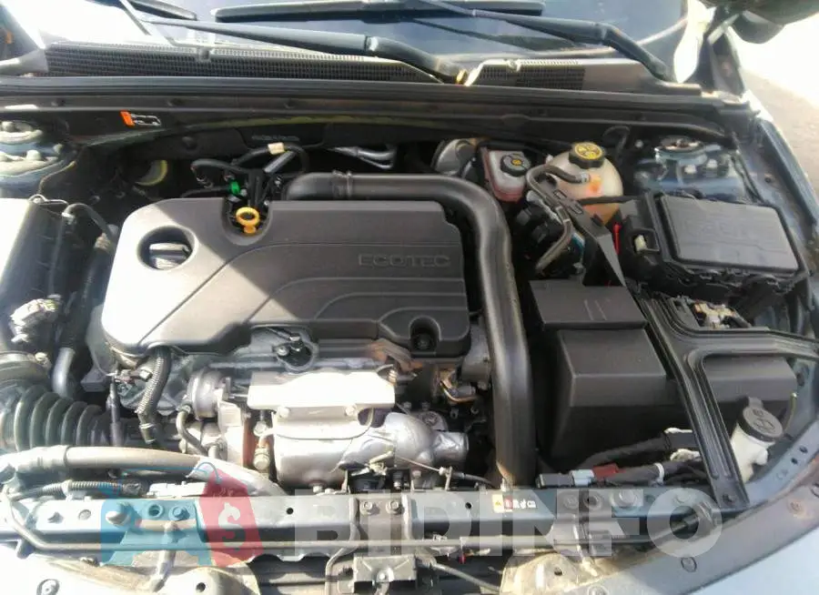 1G1ZD5ST4LF057828 Photo# 10