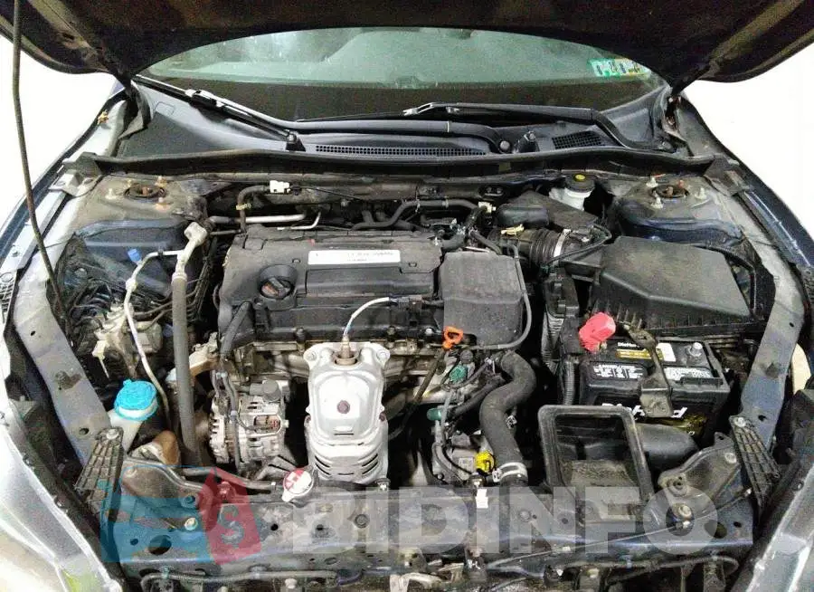 1HGCR2F30EA283521 Photo# 10