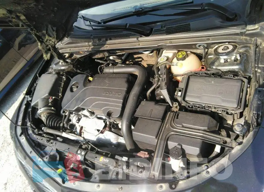 1G1ZD5ST0LF069684 Photo# 10