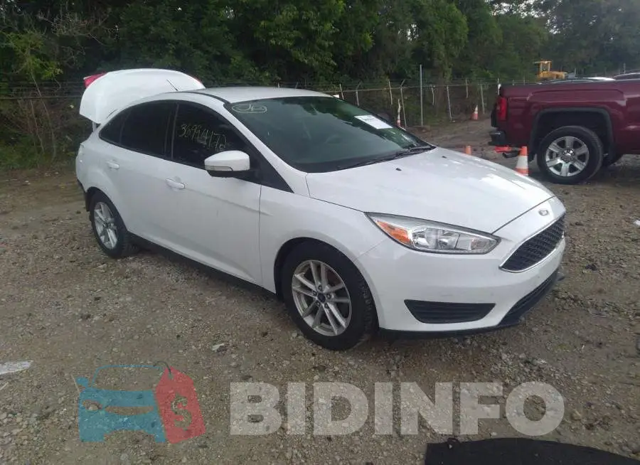 1FADP3F21FL249704 Photo# 1