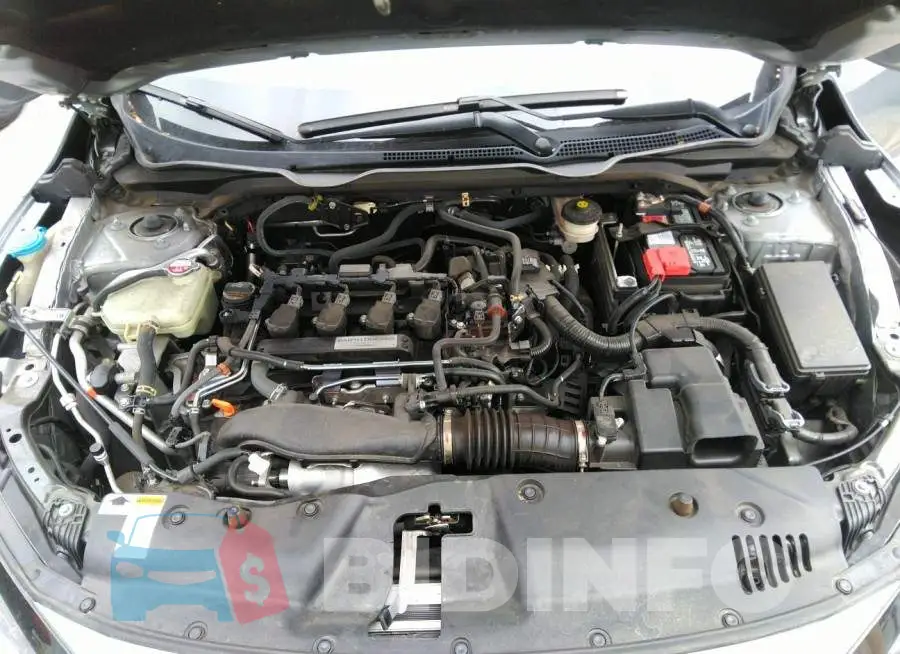 19XFC1F35LE212896 Photo# 10