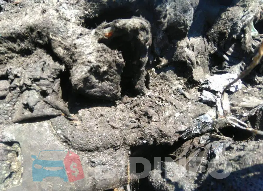 WBAYF8C55FD653977 Photo# 7