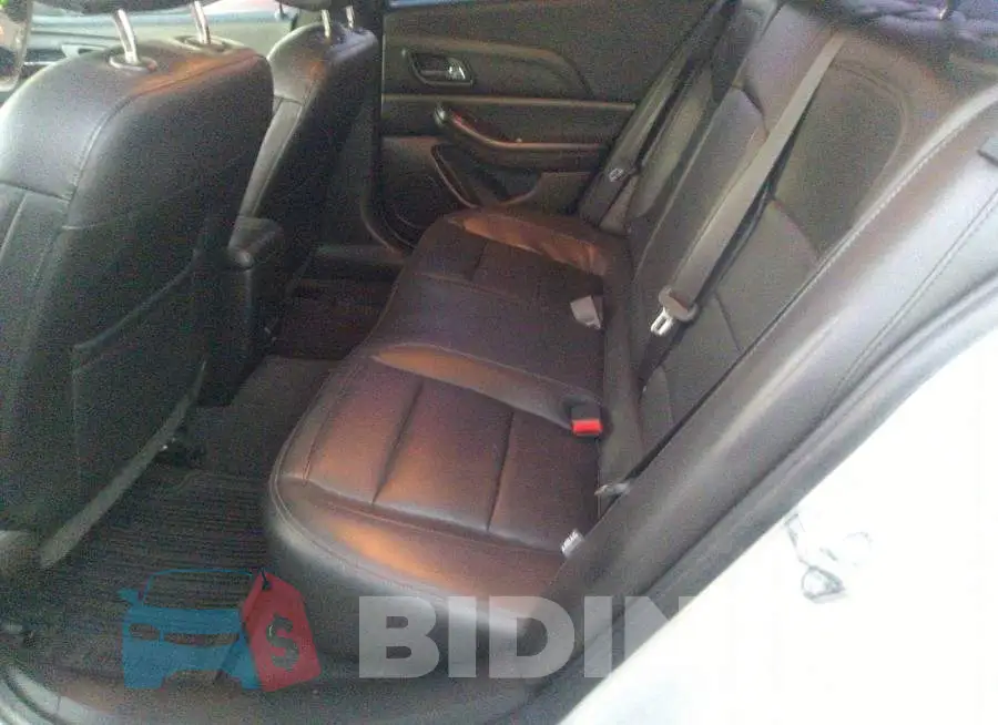 1G11D5SL1FF308483 Photo# 8