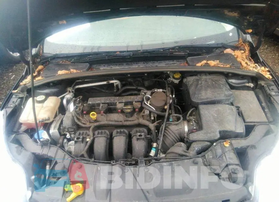 1FADP3F20DL152300 Photo# 10