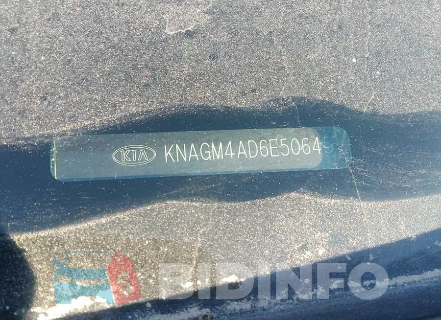 KNAGM4AD6E5064532 Photo# 9