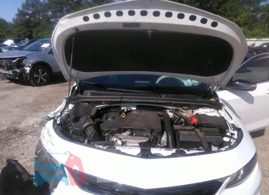 1G1ZD5ST5JF188568 Photo# 10
