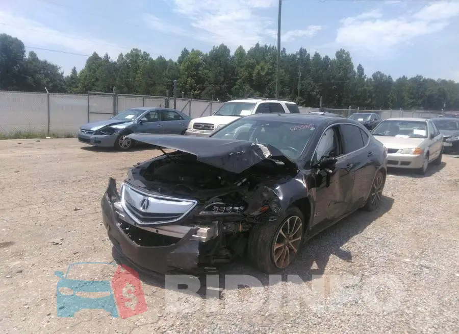 19UUB2F50FA019274 Photo# 2