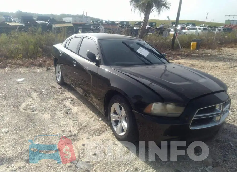 2C3CDXBGXDH719573 Photo# 1