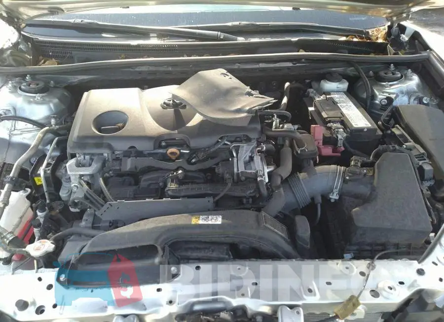 4T1C11AK3LU996483 Photo# 10
