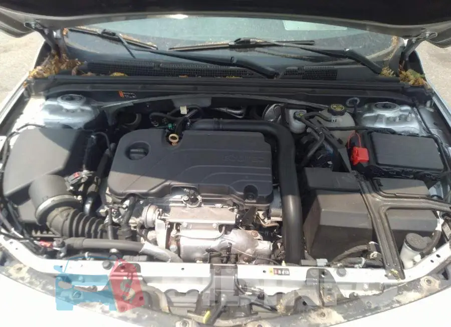 1G1ZD5ST2MF068585 Photo# 10