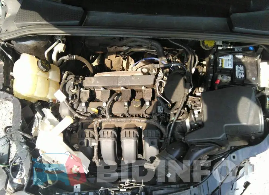 1FADP3F21GL265676 Photo# 10