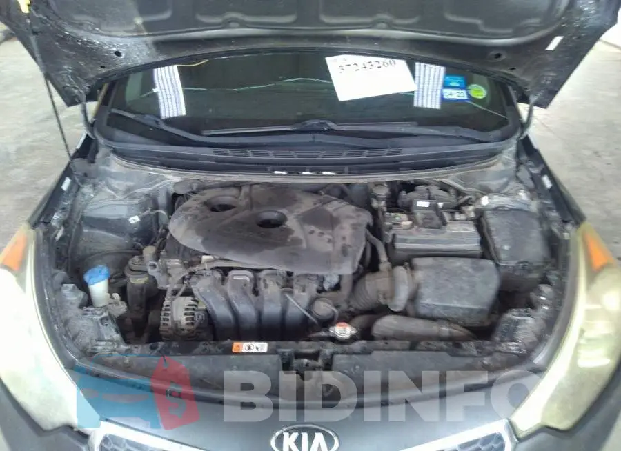 KNAFK4A68G5586682 Photo# 10