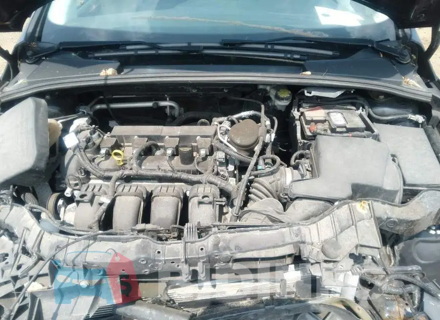 1FADP3F29GL220193 Photo# 10