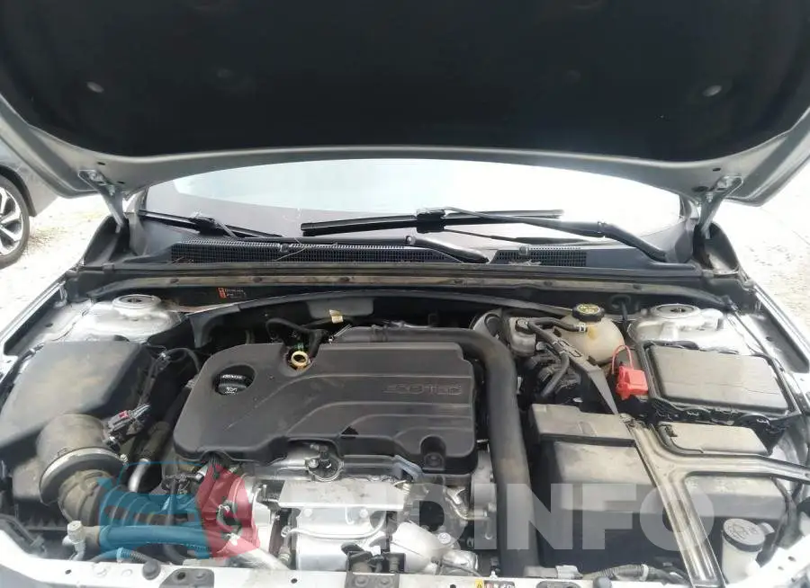 1G1ZD5ST4JF243723 Photo# 10