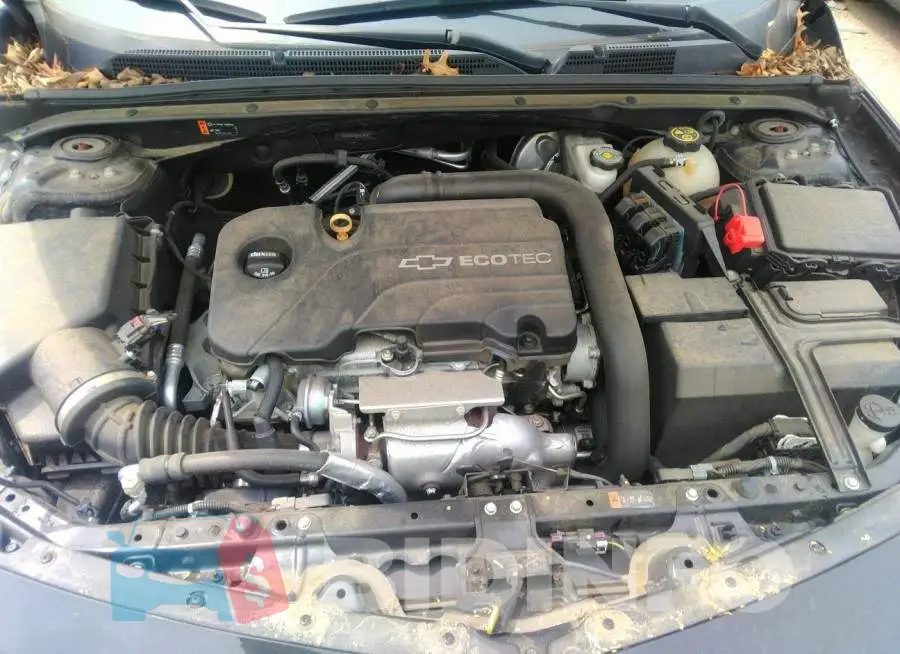 1G1ZB5ST1HF131221 Photo# 10