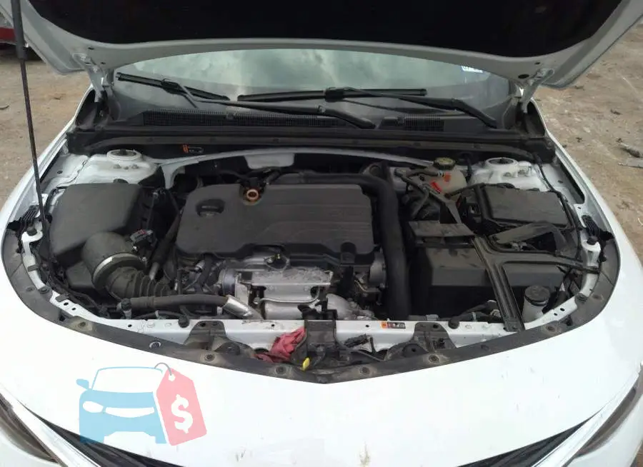 1G1ZD5ST2LF074871 Photo# 10
