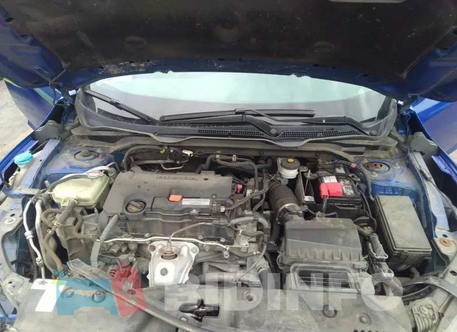 19XFC2F83GE005544 Photo# 10