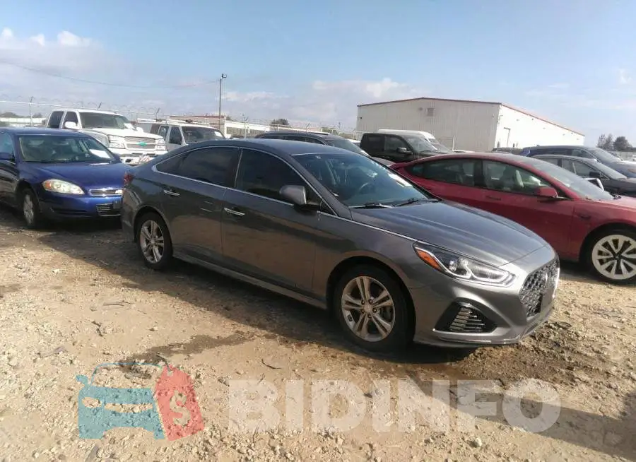 5NPE34AF3KH773817 Photo# 1