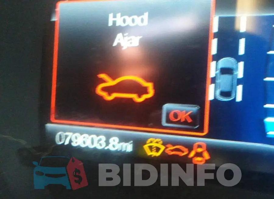 3FA6P0D91KR186817 Photo# 7