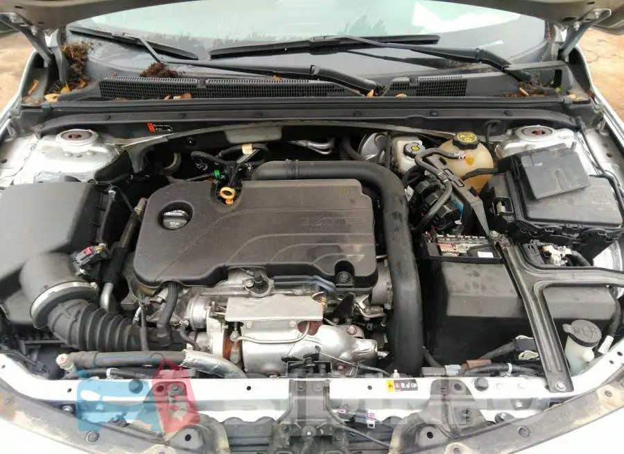 1G1ZD5ST0JF280302 Photo# 10