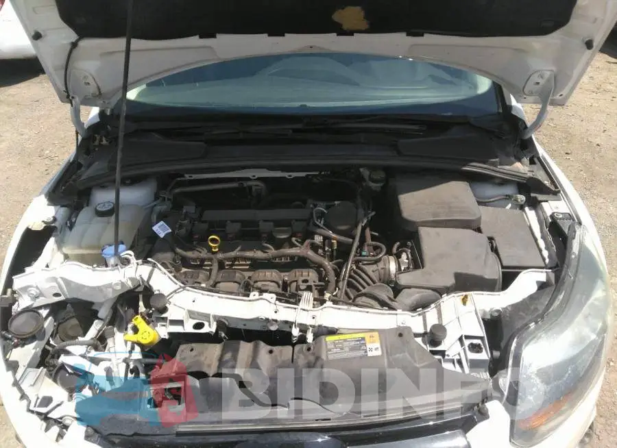 1FADP3N24DL200270 Photo# 10