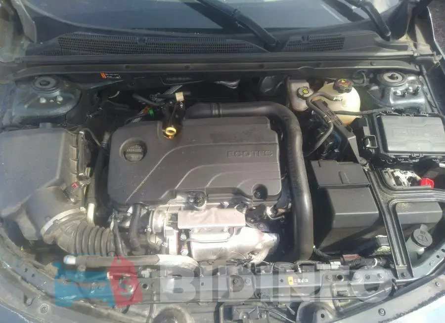1G1ZD5ST4MF031442 Photo# 10