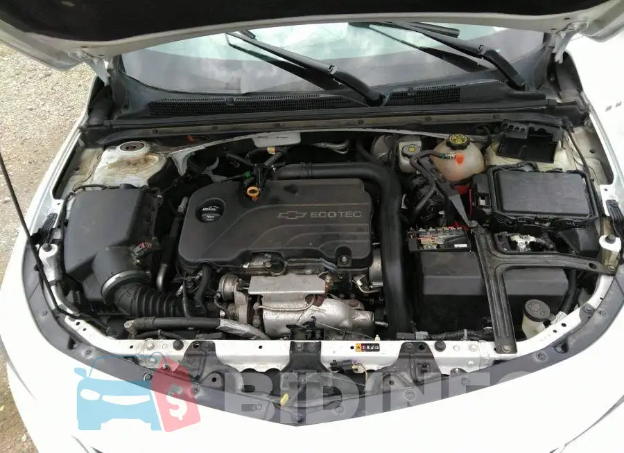 1G1ZD5ST5JF152766 Photo# 10
