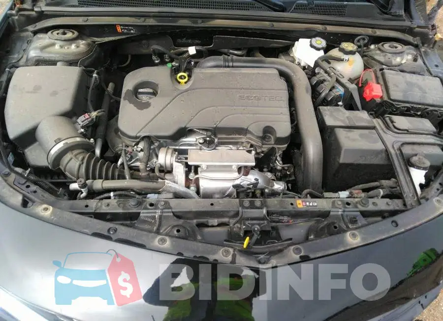 1G1ZD5ST9PF117981 Photo# 10