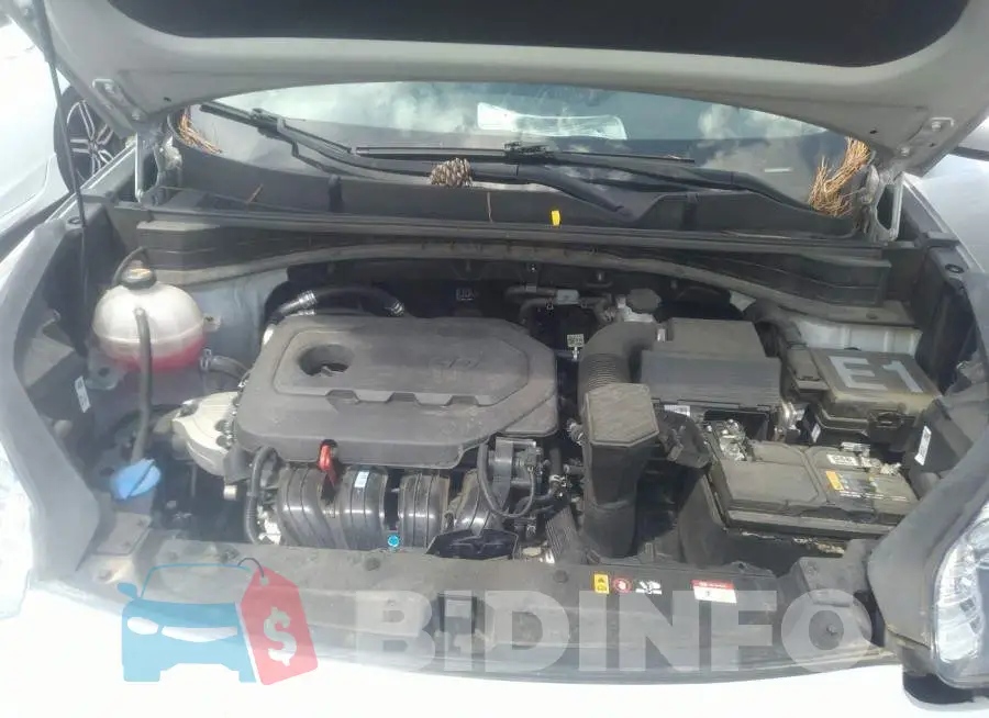 KNDPM3AC8M7878513 Photo# 10