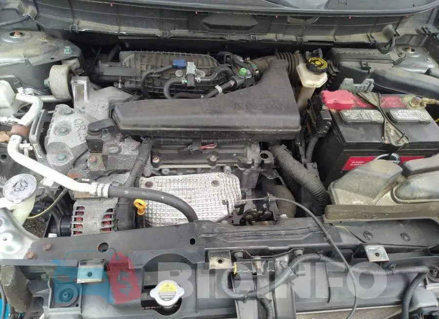KNMAT2MV1FP554449 Photo# 10