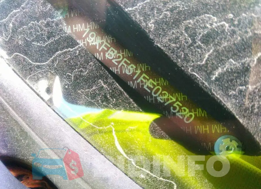 19XFB2F51FE027520 Photo# 9