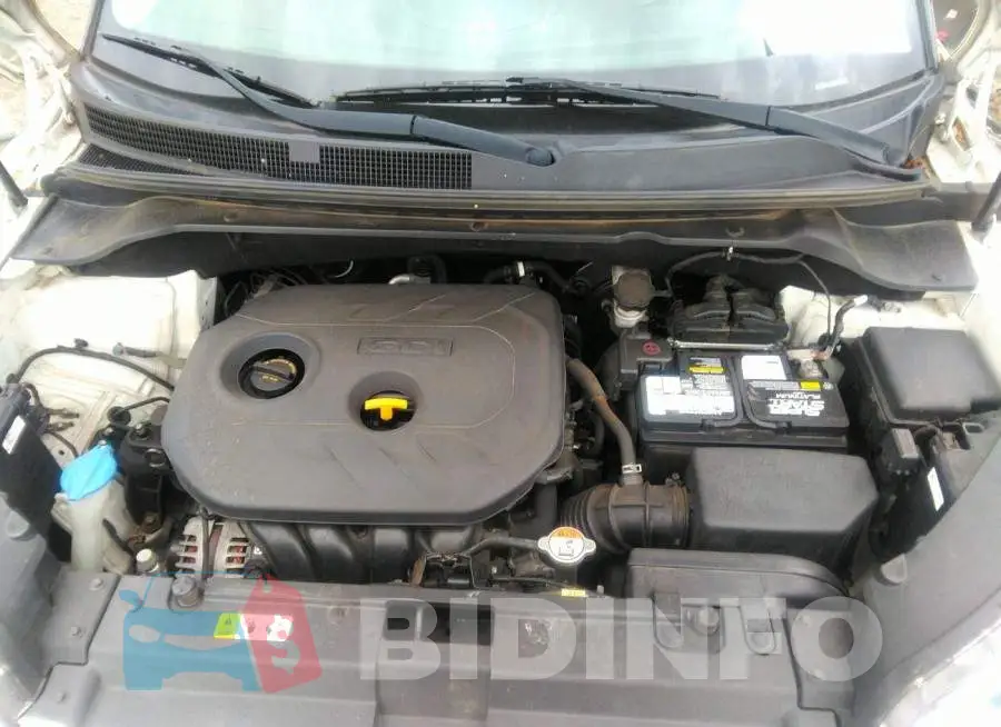 KNDJP3A5XH7443822 Photo# 10