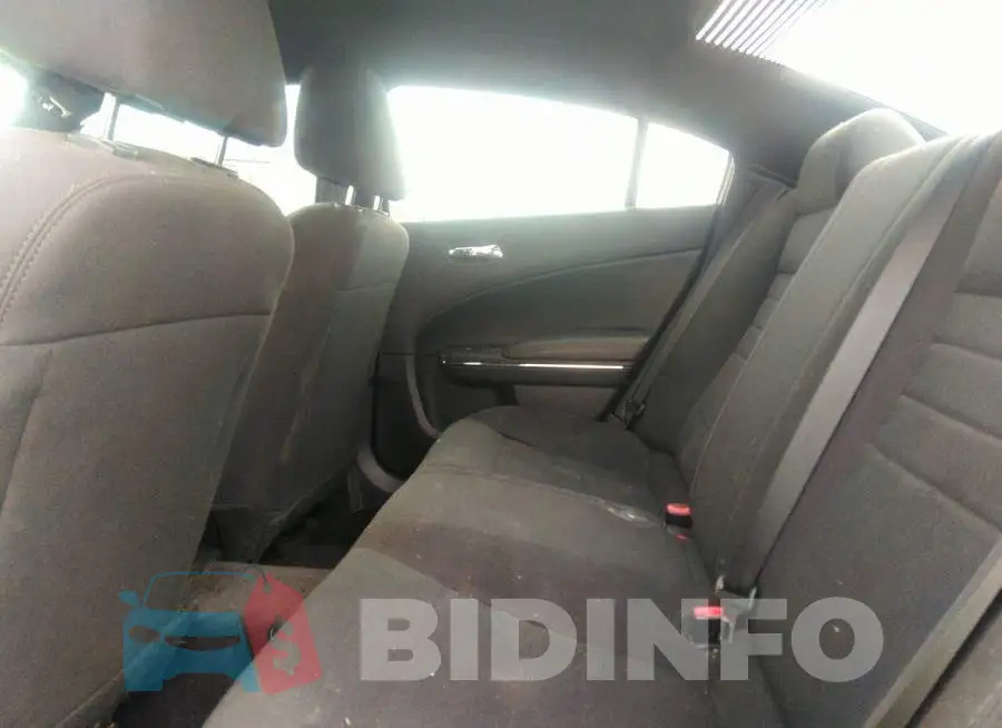 2C3CDXAT5EH237660 Photo# 8