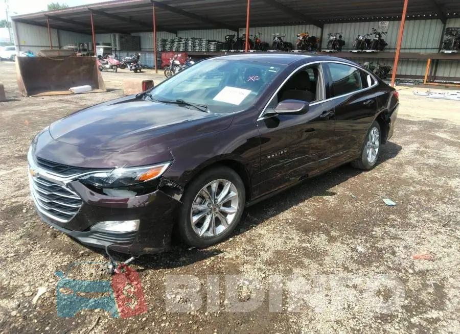 1G1ZD5ST6LF012485 Photo# 6