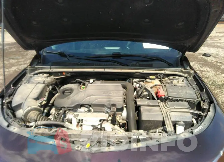 1G1ZD5ST6LF012485 Photo# 10