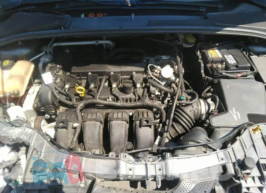 1FADP3F25GL206808 Photo# 10