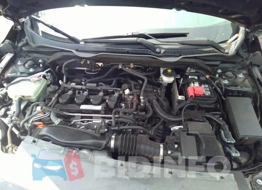 19XFC1F36GE026452 Photo# 10
