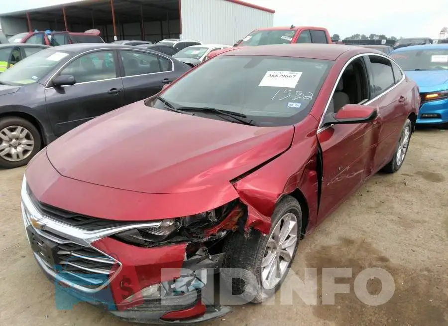 1G1ZD5ST4MF061542 Photo# 6