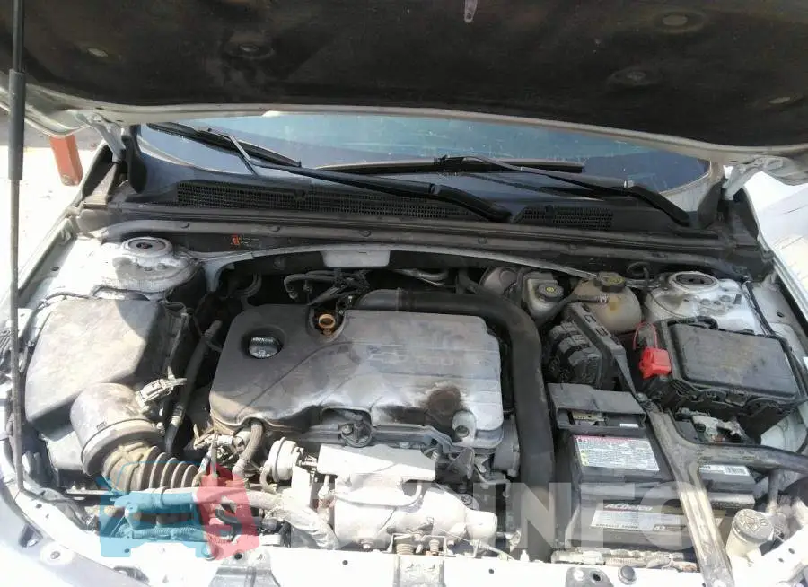 1G1ZE5ST1HF117861 Photo# 10