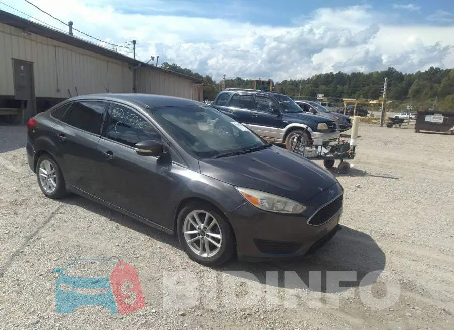 1FADP3F24FL229091 Photo# 1