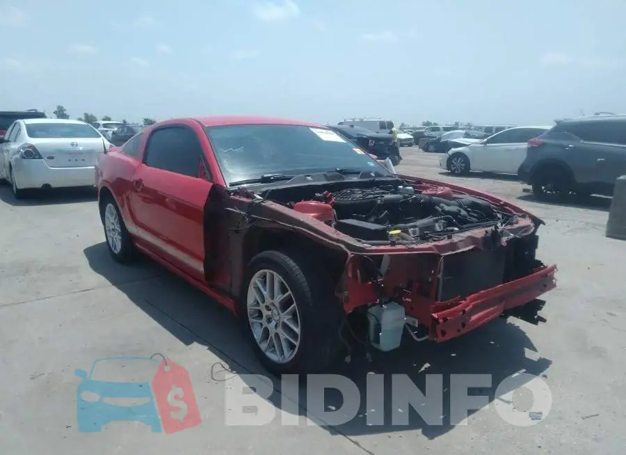 1ZVBP8AM3D5247717 Photo# 1