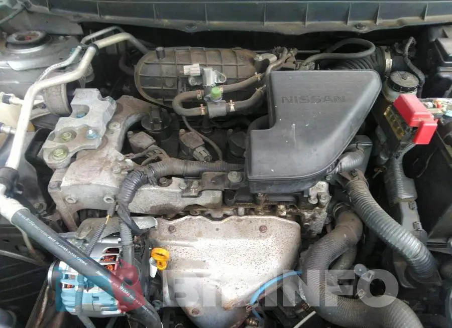 JN8AS5MV9DW622427 Photo# 10