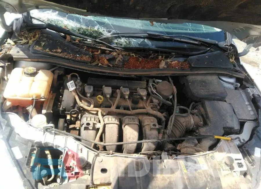 1FADP3F25FL219749 Photo# 10