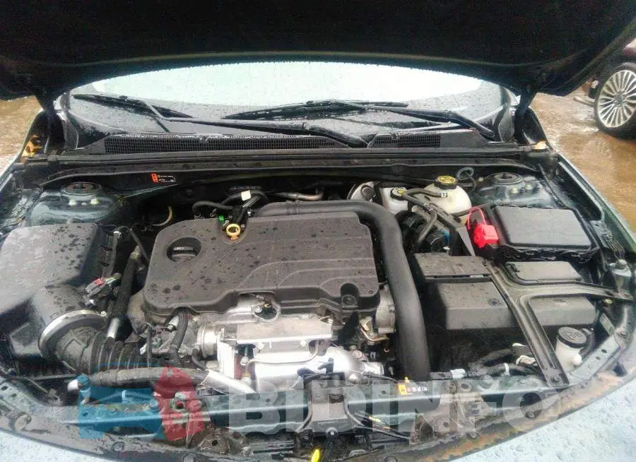 1G1ZD5ST2MF068733 Photo# 10