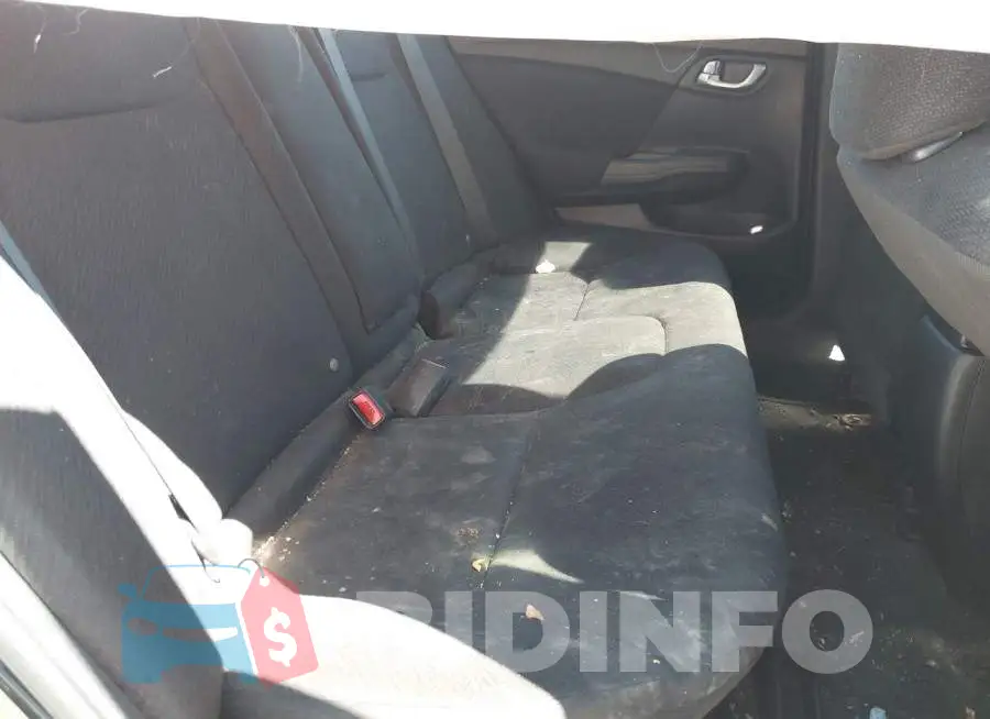 19XFB2F84DE072538 Photo# 8