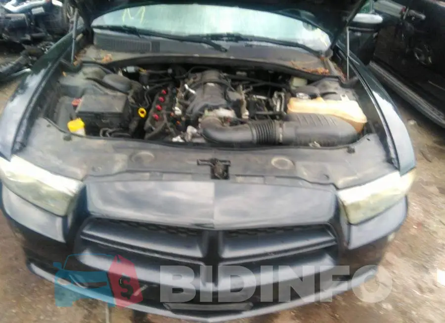 2C3CDXAT2EH124748 Photo# 10