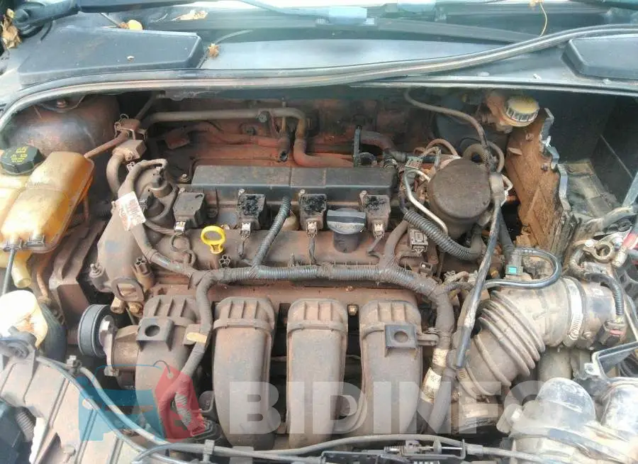 1FADP3E25GL253208 Photo# 10