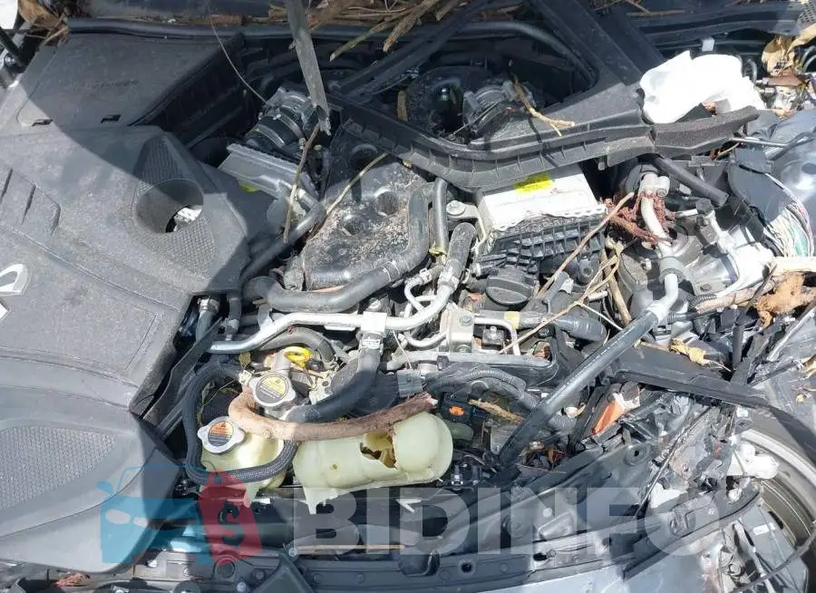 JN1EV7BP7MM700240 Photo# 10